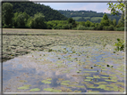 foto Lago di Fimon